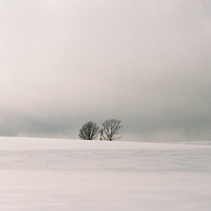 成人性爱动漫同人
